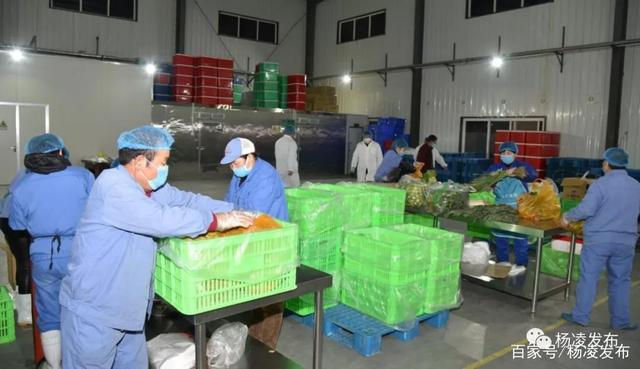 疫情期間保供企業，貢獻力所能及的力量